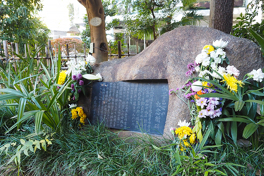 雪頂講堂と図書館の間に植樹された「わびすけ（寒椿）」と「散華乙女の碑」